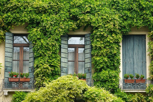 How to Clean Window Tracks (Without Breaking Your Back)